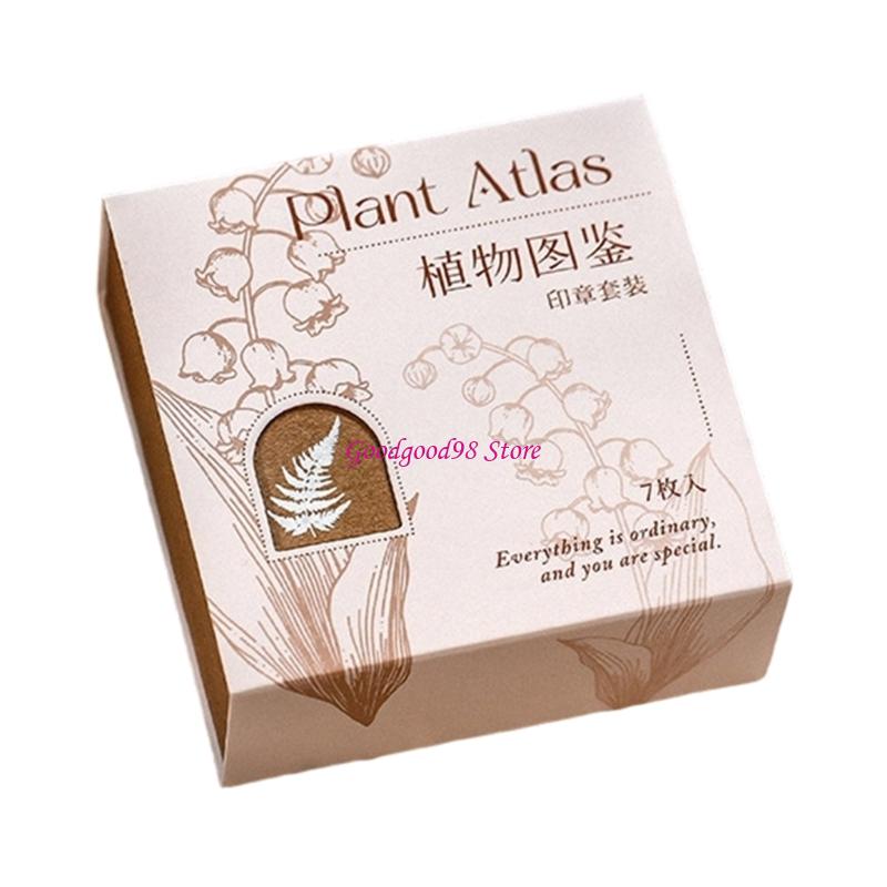 Card Work Seal Set บล็อกไม้ชนิ - Gift Box Wrap Set บทวิจารณ์และราคา